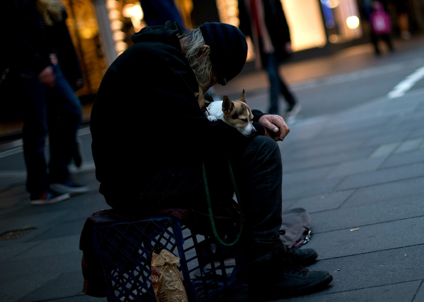 Immagine