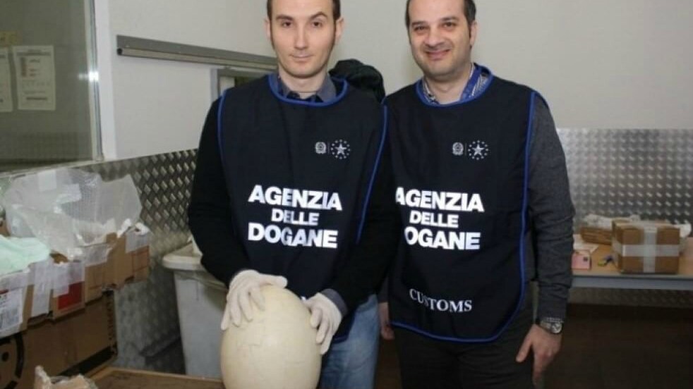 Immagine