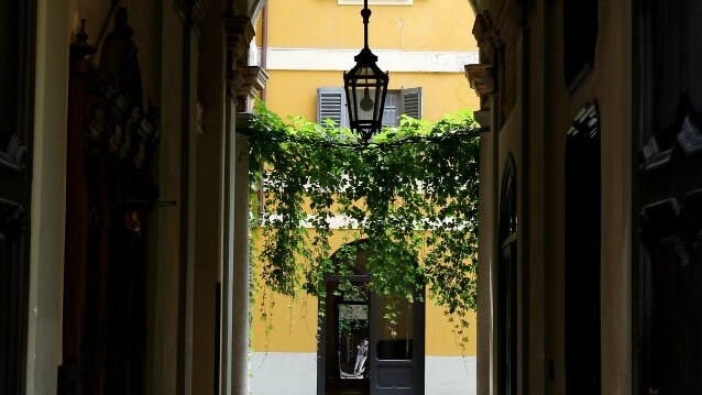 Immagine