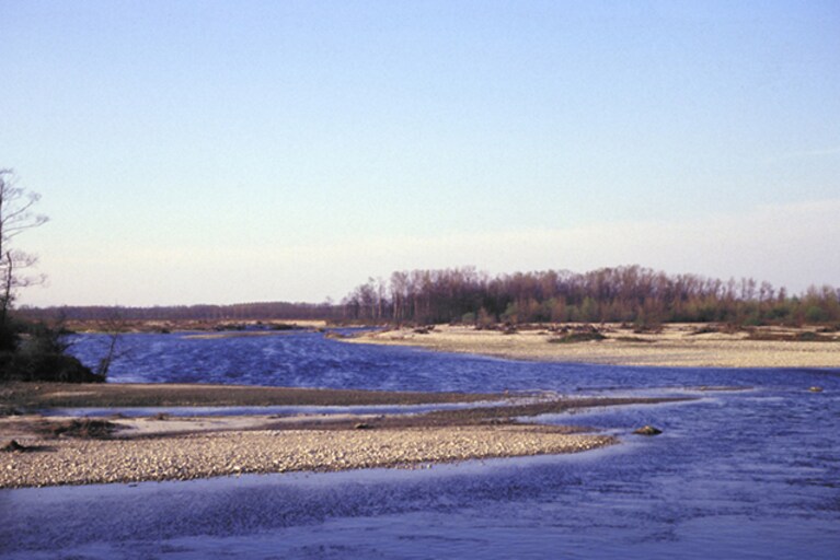 Parco del Ticino