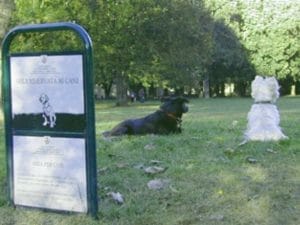 Un’area cani del Comune di Milano