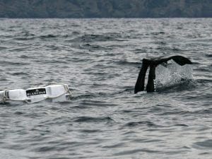 Foto La Presse