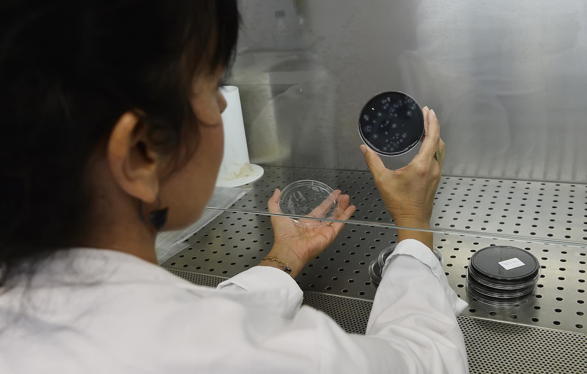Le analisi sull’acqua da parte dell’Ats di Brescia