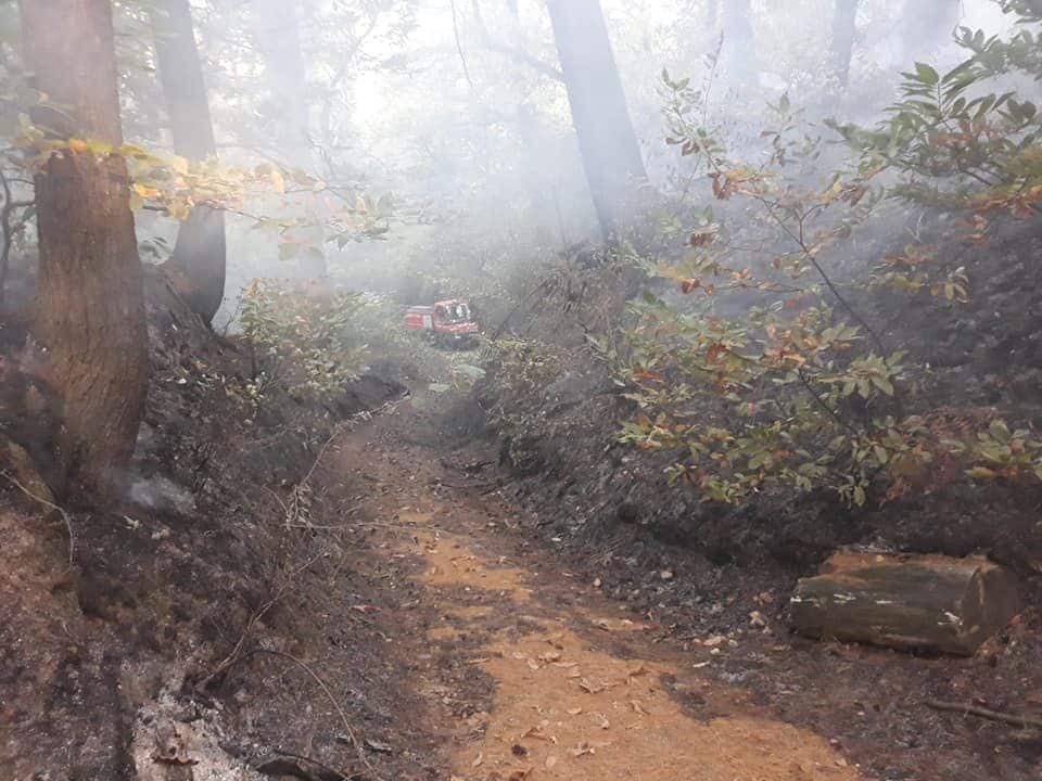 L’incendio (foto dalla pagina Facebook del sindaco di Induno Olona Marco Cavallin)