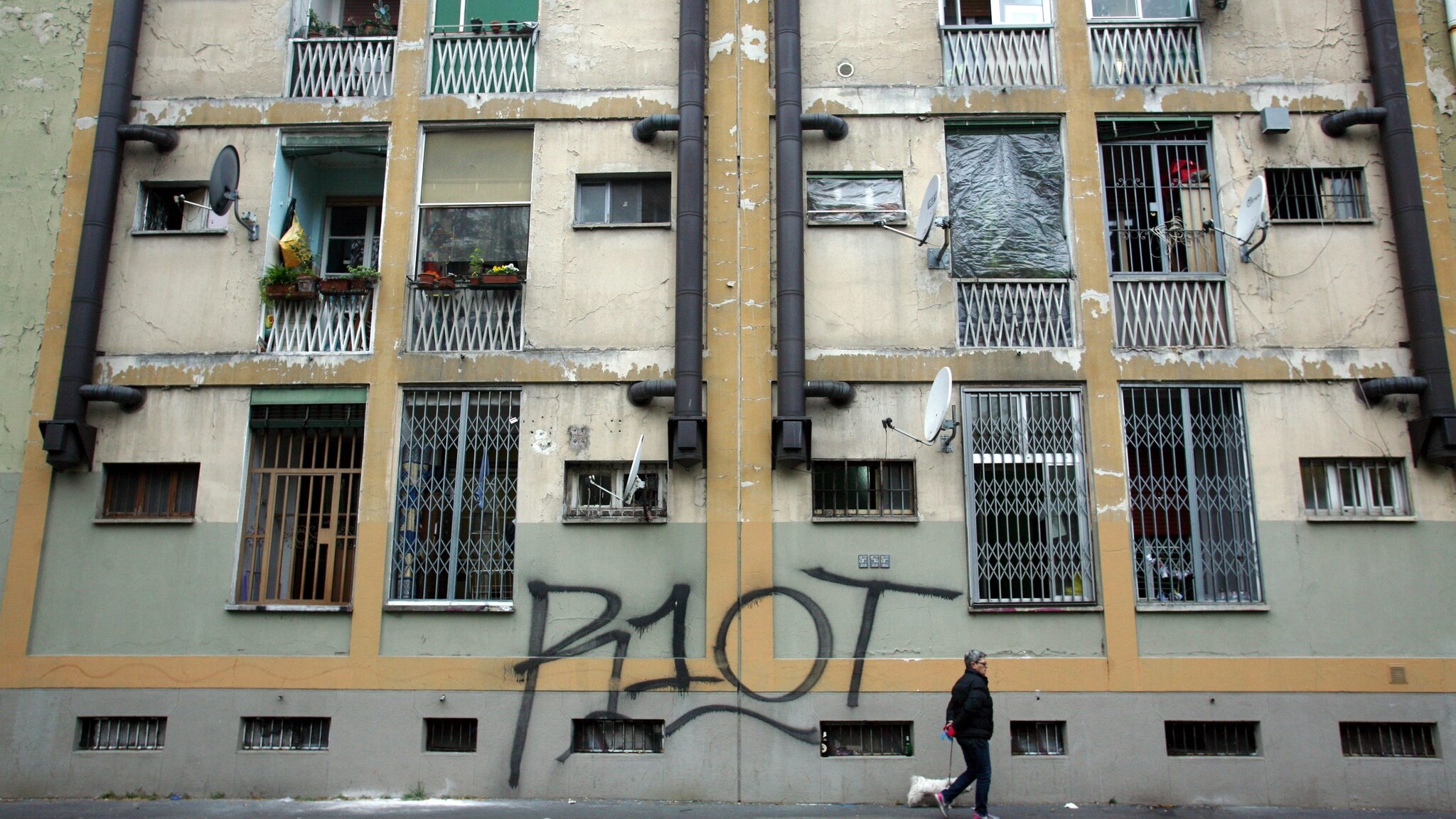 Immagine