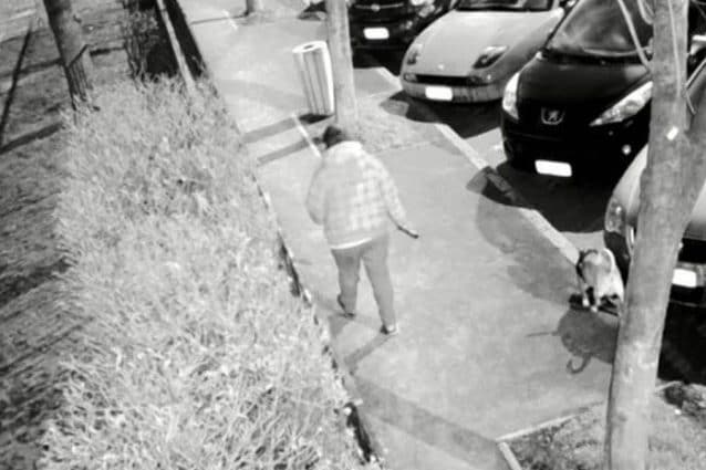 Una delle persone riprese dalle telecamere mobili poste dal sindaco di Cesano Boscone mentre non raccoglie gli escrementi del proprio cane
