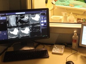 L’interno di un reparto di Radiologia (Archivio LaPresse)