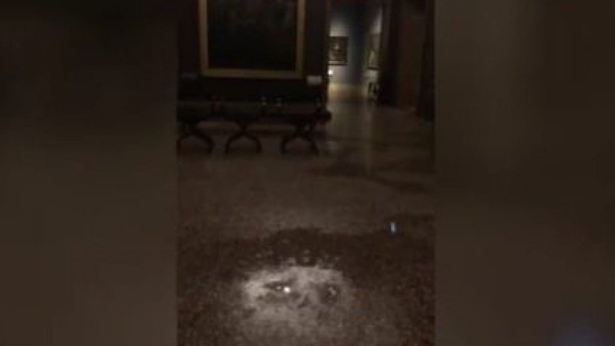 Le immagini dell’acqua che scorre nelle sale della Pinacoteca