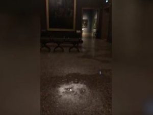 Le immagini dell’acqua che scorre nelle sale della Pinacoteca