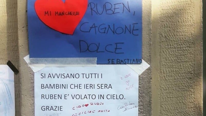 Immagine