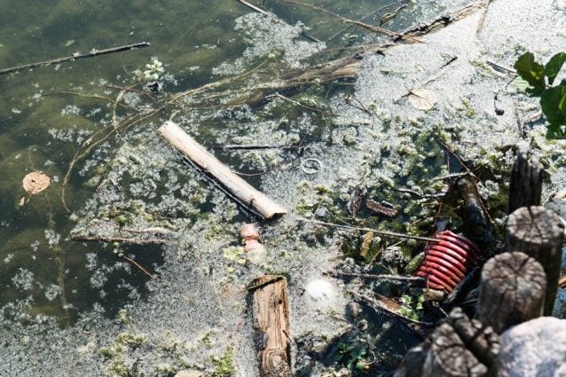 L’inquinamento nel lago di Varese (Foto: Save lake Varese via Facebook)