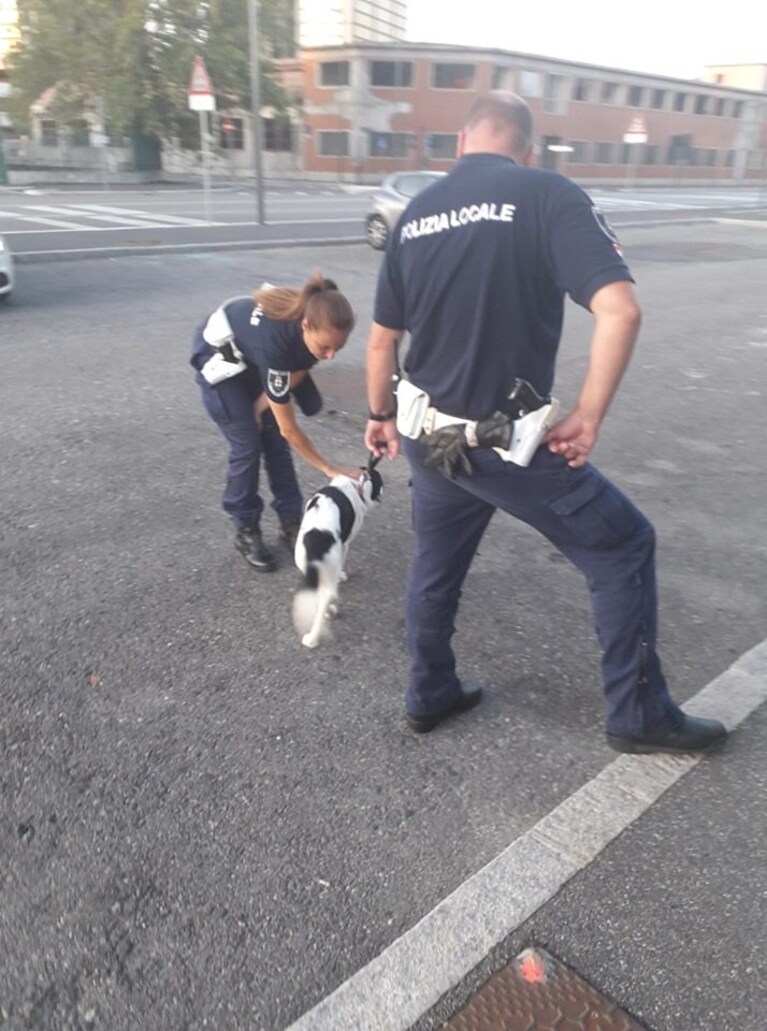 Immagine