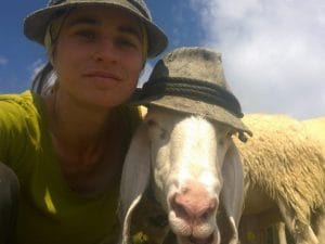 Una delle foto del concorso ’un selfie con la pecora’