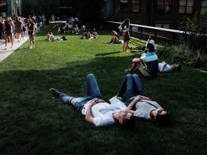 La High Line a New York (Archivio Getty images)