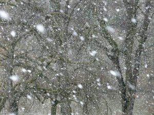 foto di repertorio