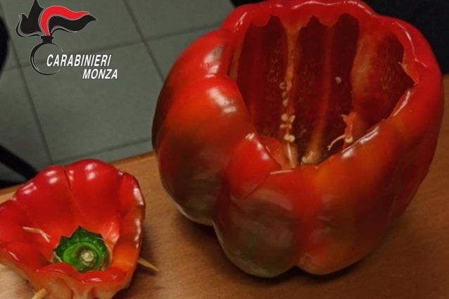 Il peperone scavato per nascondervi la droga (Foto: Mianews/Carabinieri)