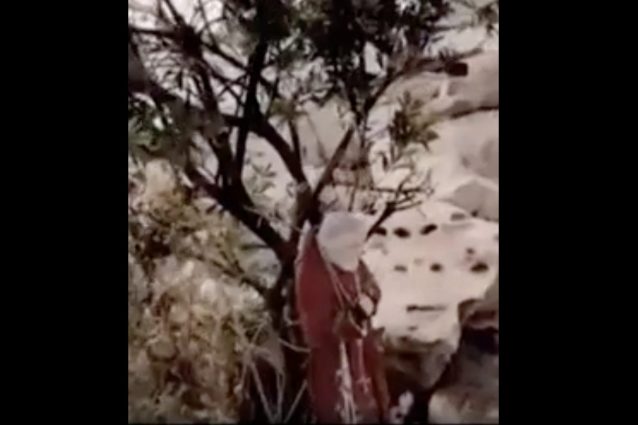 La Statua di Padre Pio sugli scogli adiacenti il Lungomare, rimasta intatta.