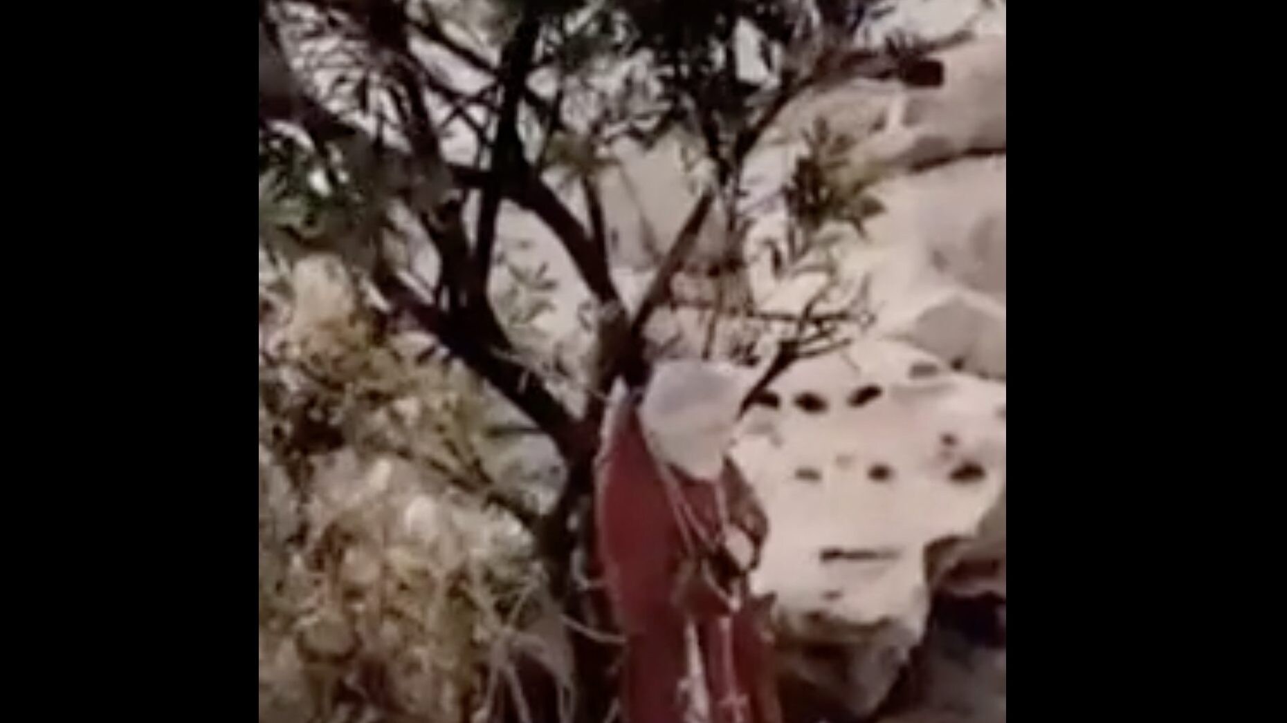 La Statua di Padre Pio sugli scogli adiacenti il Lungomare, rimasta intatta.