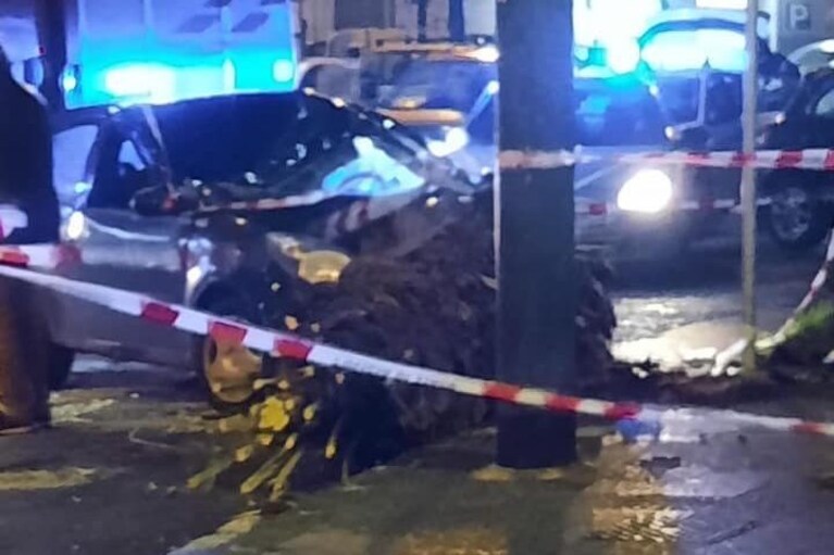L'automobile distrutta da una palma caduta a causa del maltempo.