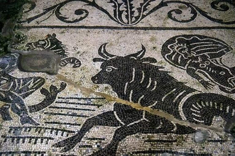 Uno dei mosaici interni della Villa Romana di Minori (Foto Soprintendenza Salerno e Avellino)