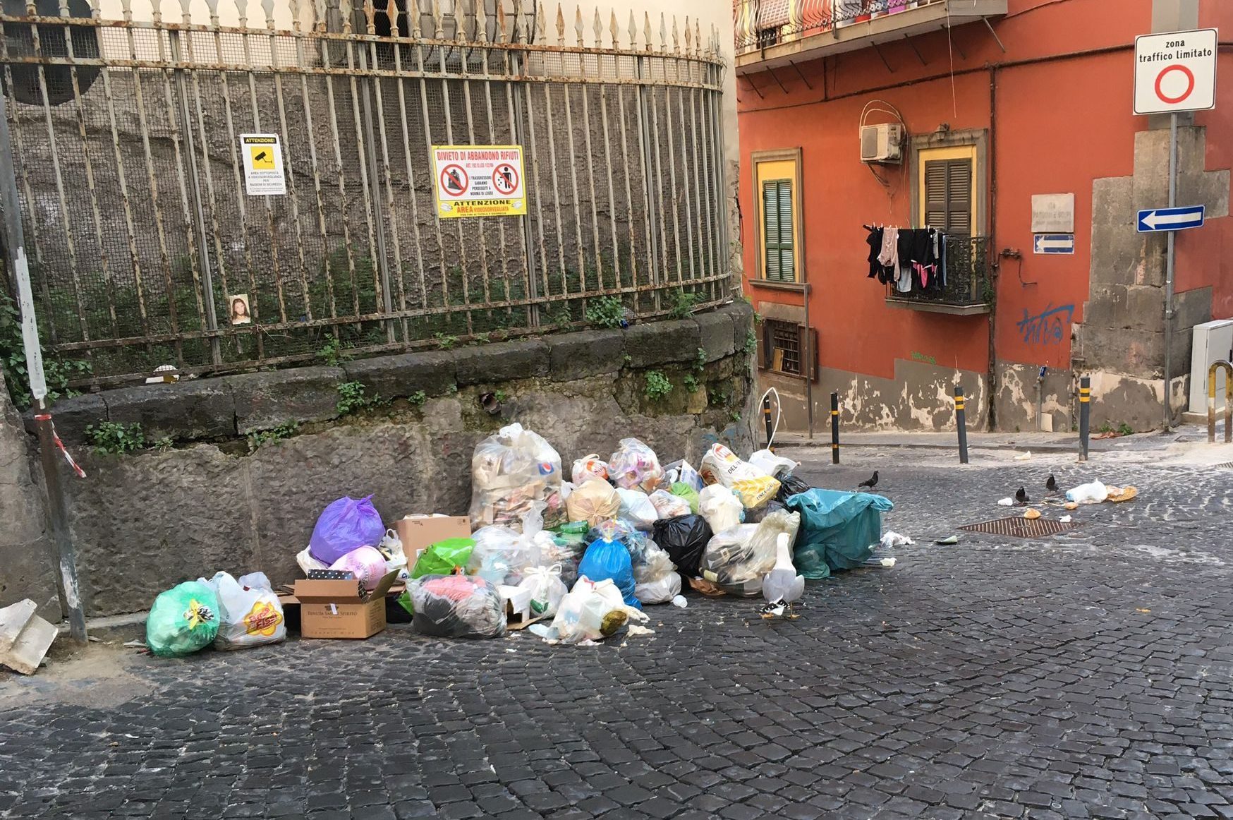Immagine