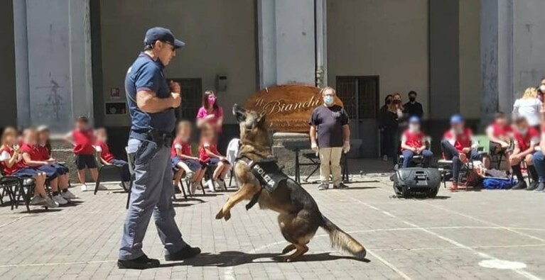 Immagine