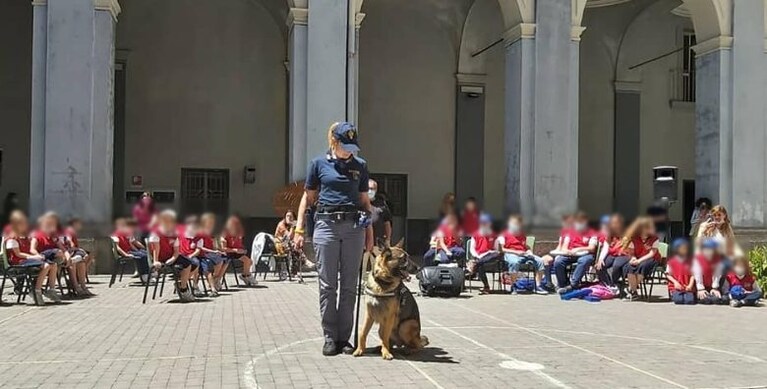 Immagine