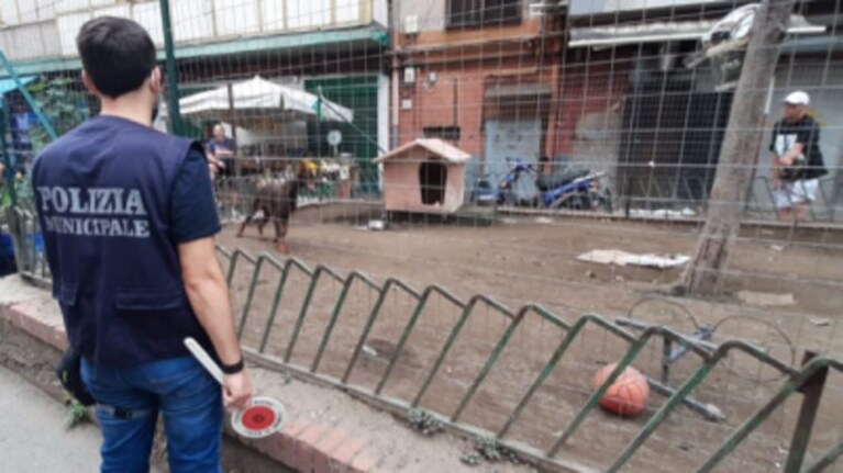 L'area "liberata" dalla Polizia Locale.