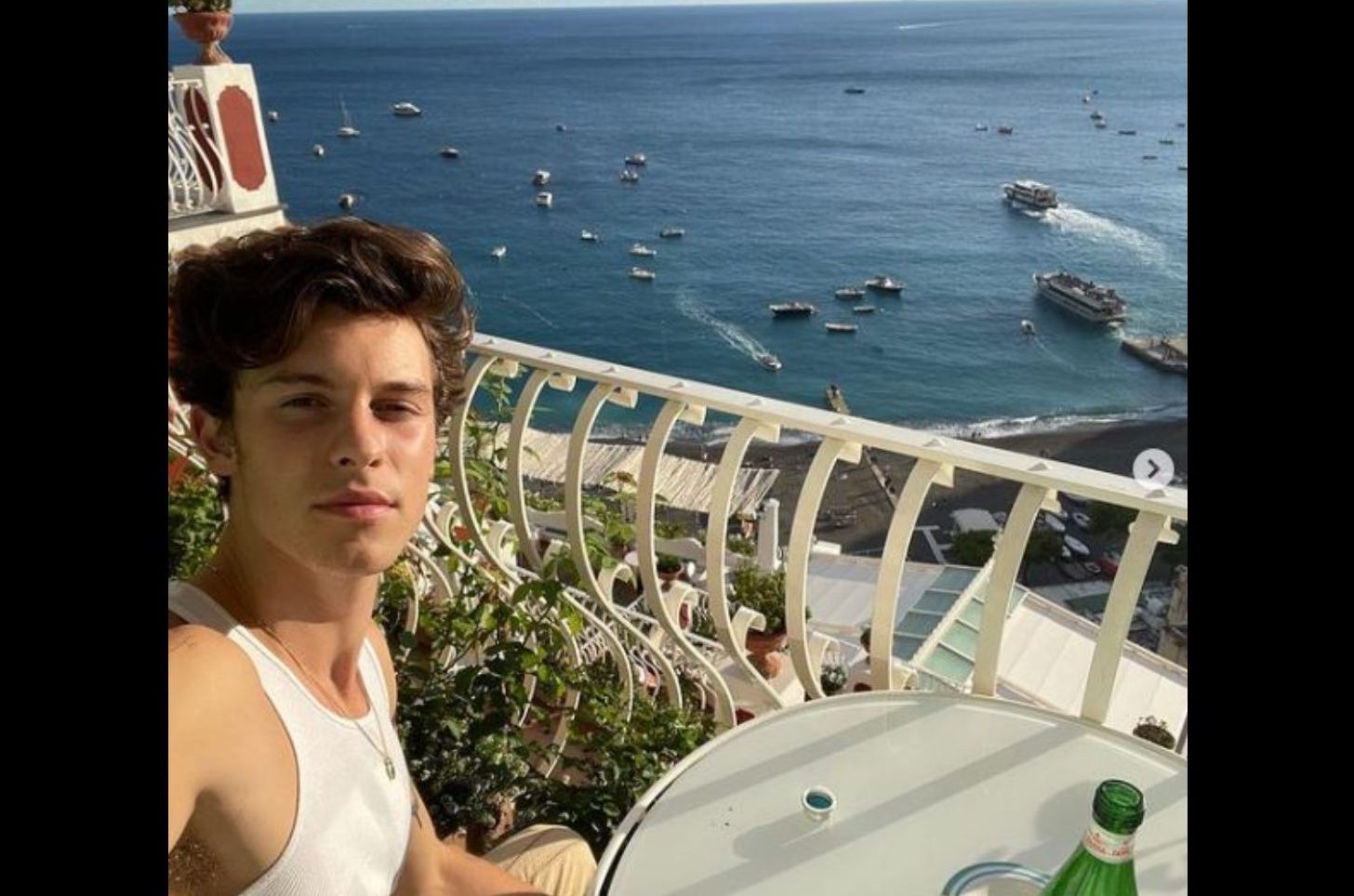 Shawn Mendes (Foto profilo Instagram)
