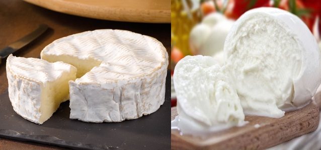 Il Camembert normanno e la Mozzarella napoletana.