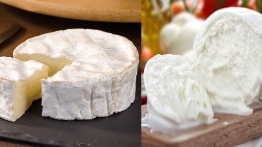 Il Camembert normanno e la Mozzarella napoletana.