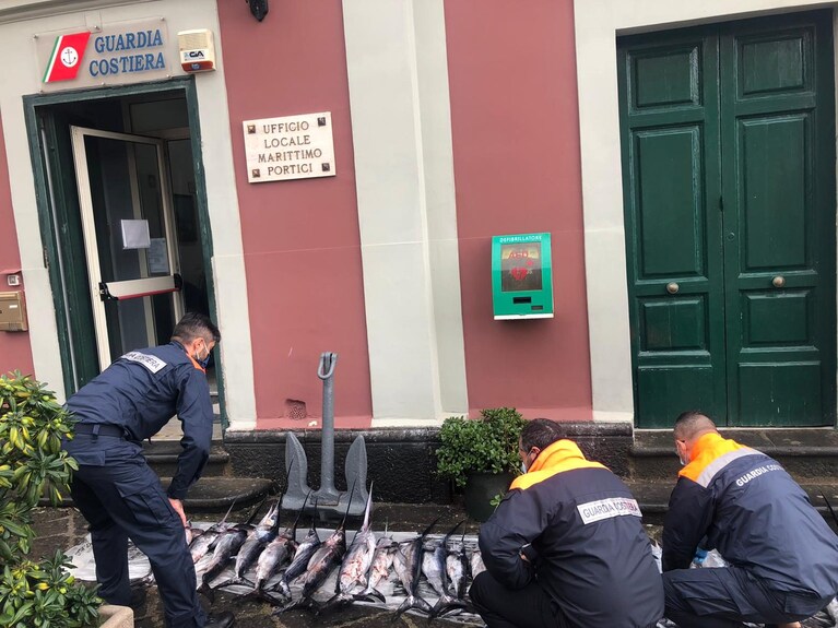 Il pescespada sequestrato a Portici dalla Guardia Costiera.