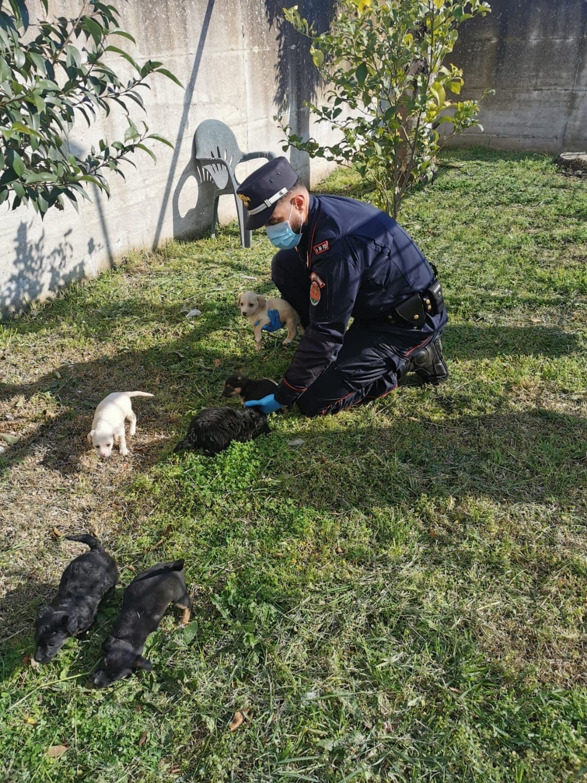 I cuccioli abbandonati sulla Domitiana.