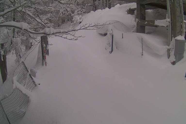Il Partenio innevato questa mattina.