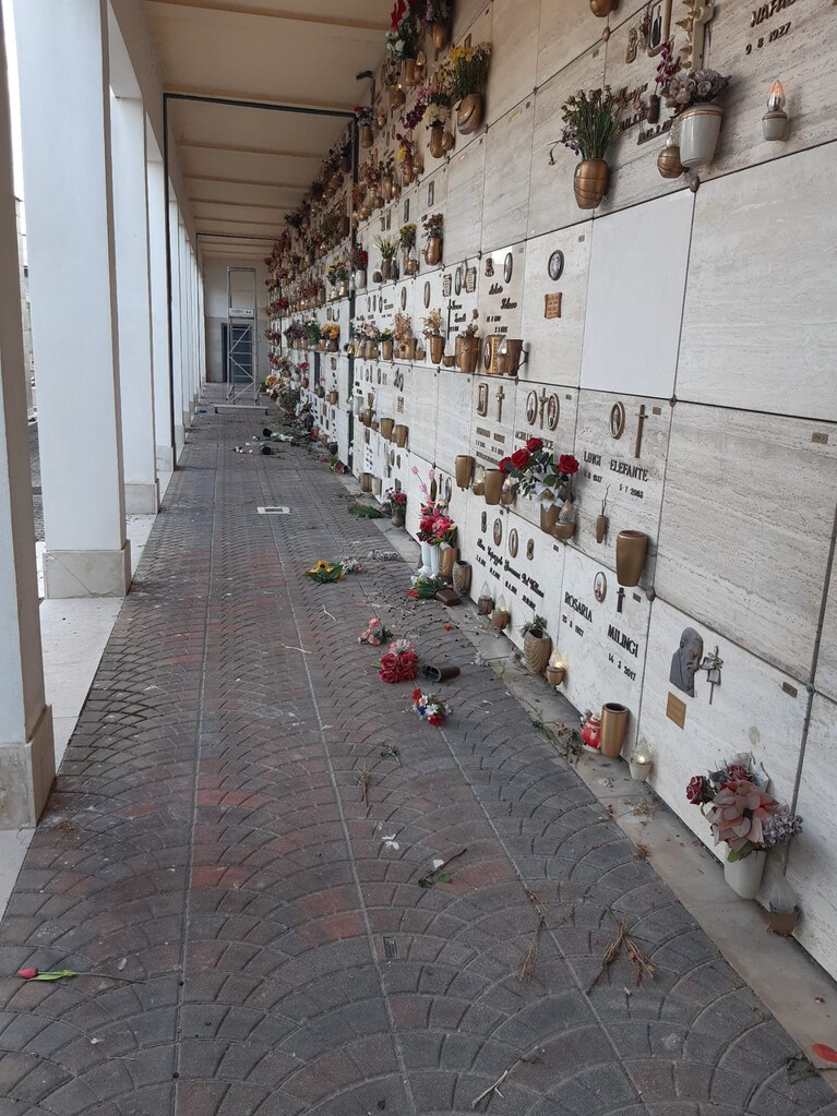 Alcuni dei danni lasciati dalle capre al pascolo nel cimitero di Salerno. Foto Facebook / Figli delle chiancarelle