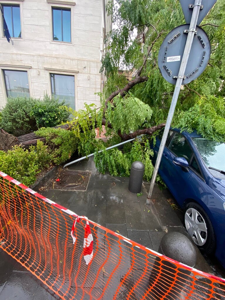 L'albero che ha colpito un'automobile su via Marina a Napoli. Foto Francesco Emilio Borrelli / Facebook