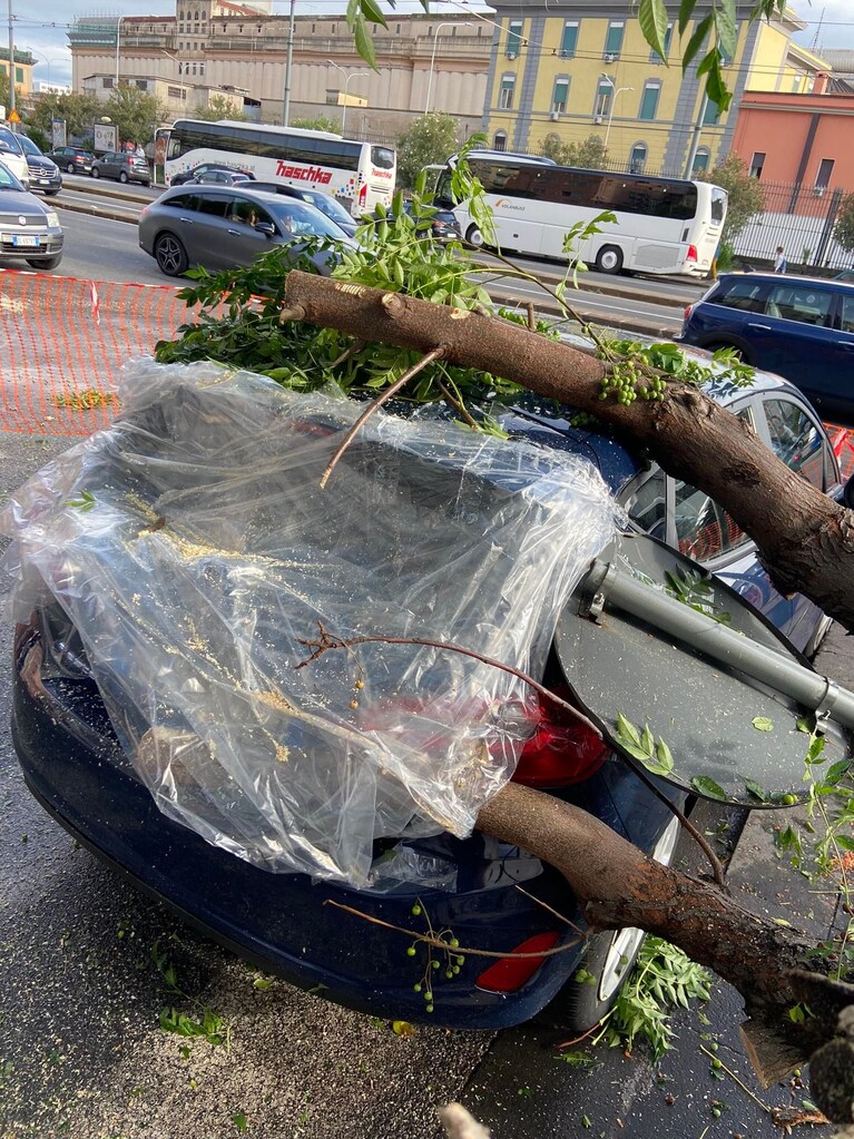 L'albero che ha colpito un'automobile su via Marina a Napoli. Foto Francesco Emilio Borrelli / Facebook
