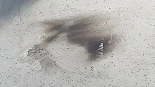 I danni della fiammata sul pavimento del tram