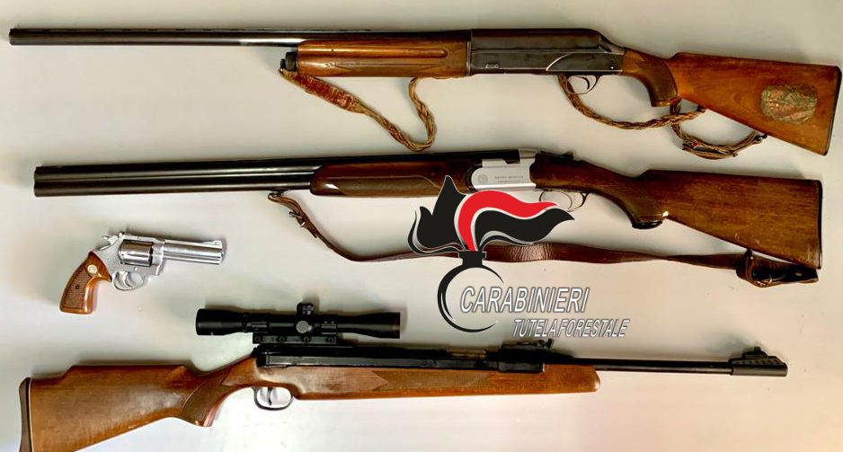 Pistola sotto il cuscino, 5 fucili, 400 munizioni e animali in gabbia