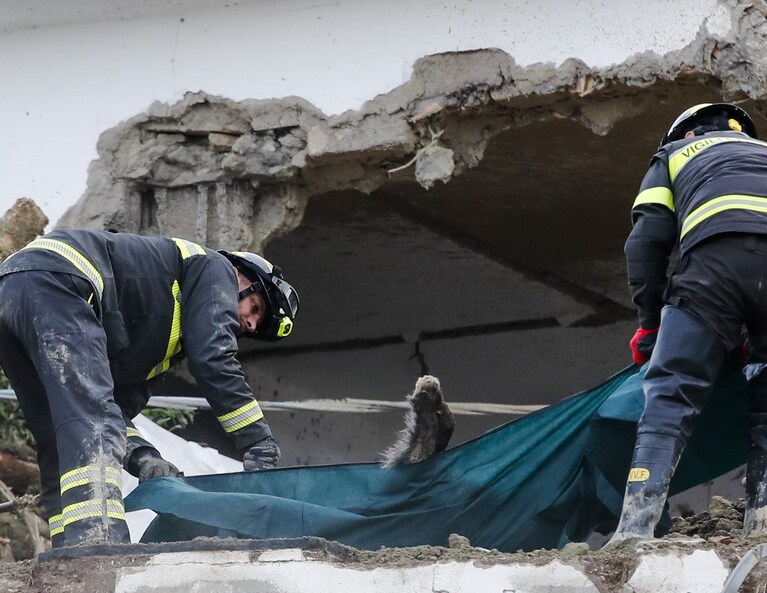 Uno dei cani trovati senza vita a Ischia dopo la frana