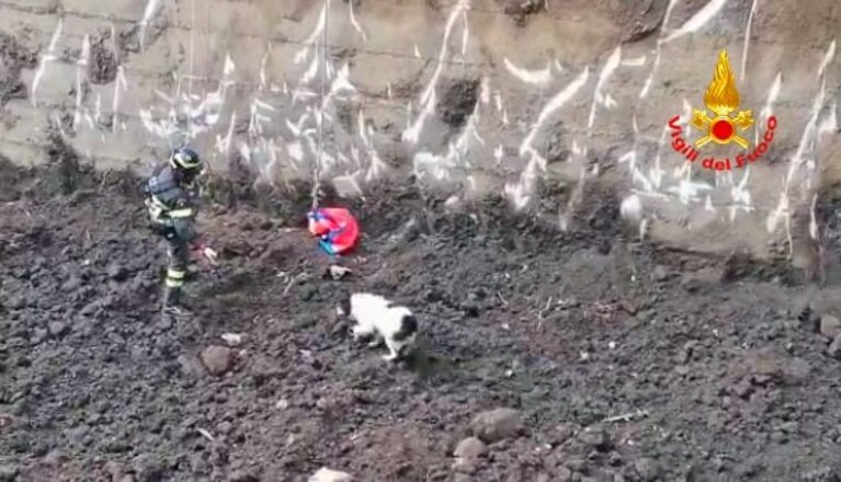 Il cane caduto nella vasca dell'acqua piovana