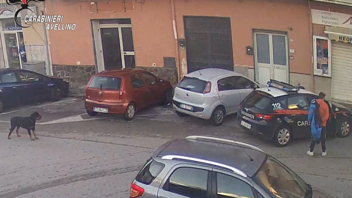Il cane aizzato dal 28enne contro i passanti prima e i carabinieri dopo