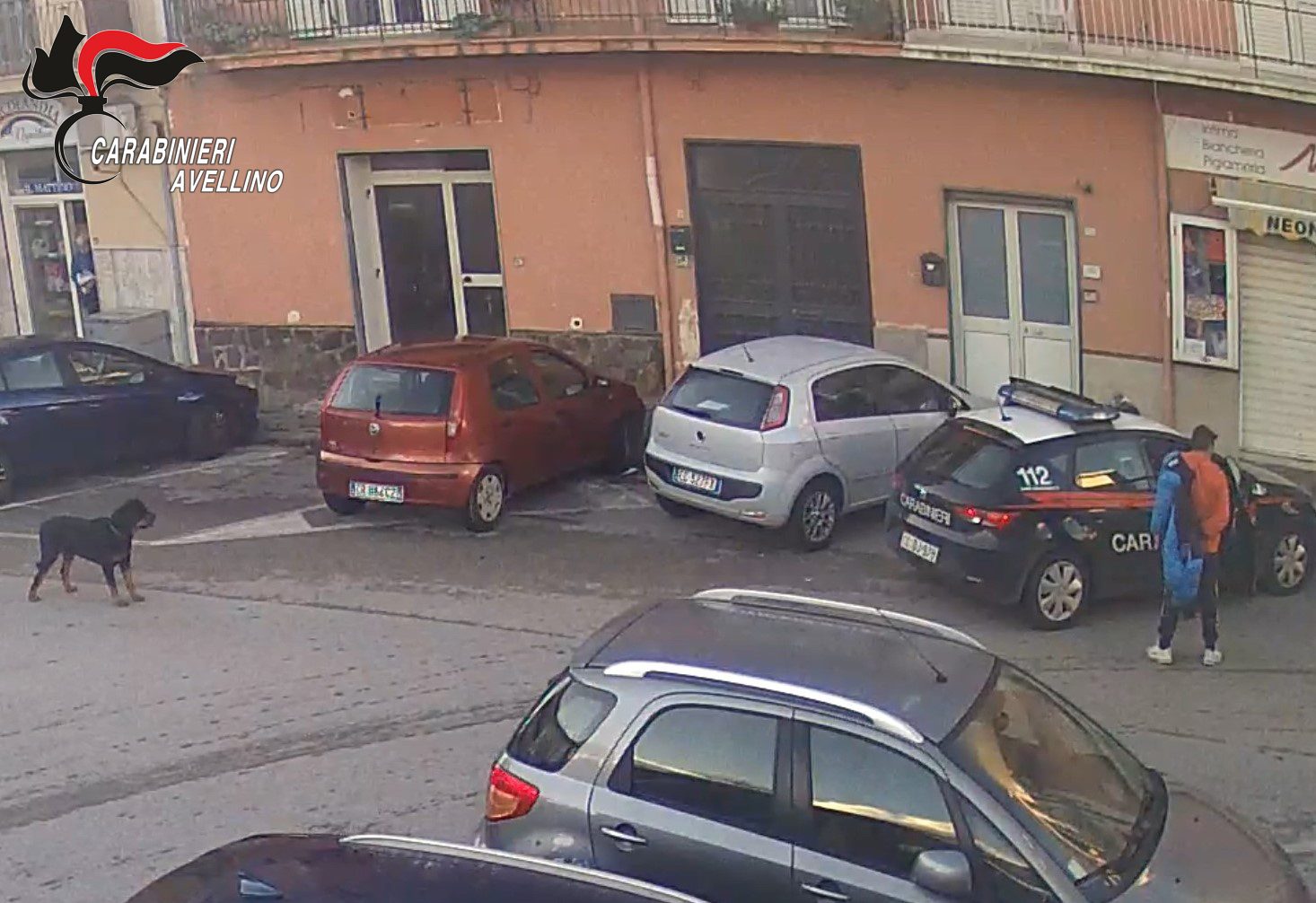 Saris Trappola Per Assi Passanti - Supporto Per Forcella Bici Universale, Nero, Taglia Unica - 2