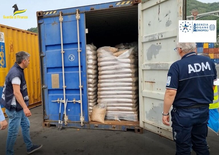 Il pellet contraffatto sequestrato dalla Guardia di FInanza nel Porto di Salerno