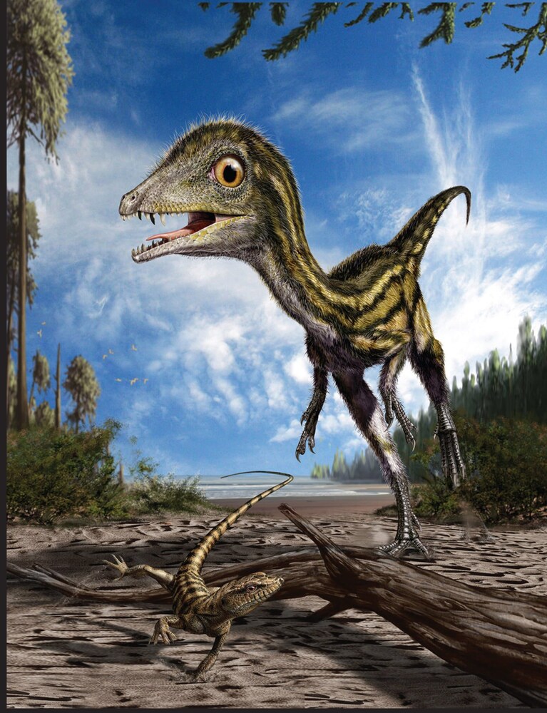 Una ricostruzione in 3D del dinosauro Ciro [di Davide Bonadonna, fonte Facebook / Museo di Storia Naturale della Calabria e Orto Botanico]