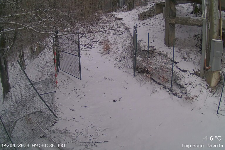 La neve caduta a Montervergine nella notte e stamattina ancora al suolo. Foto / Webcam Montevergine