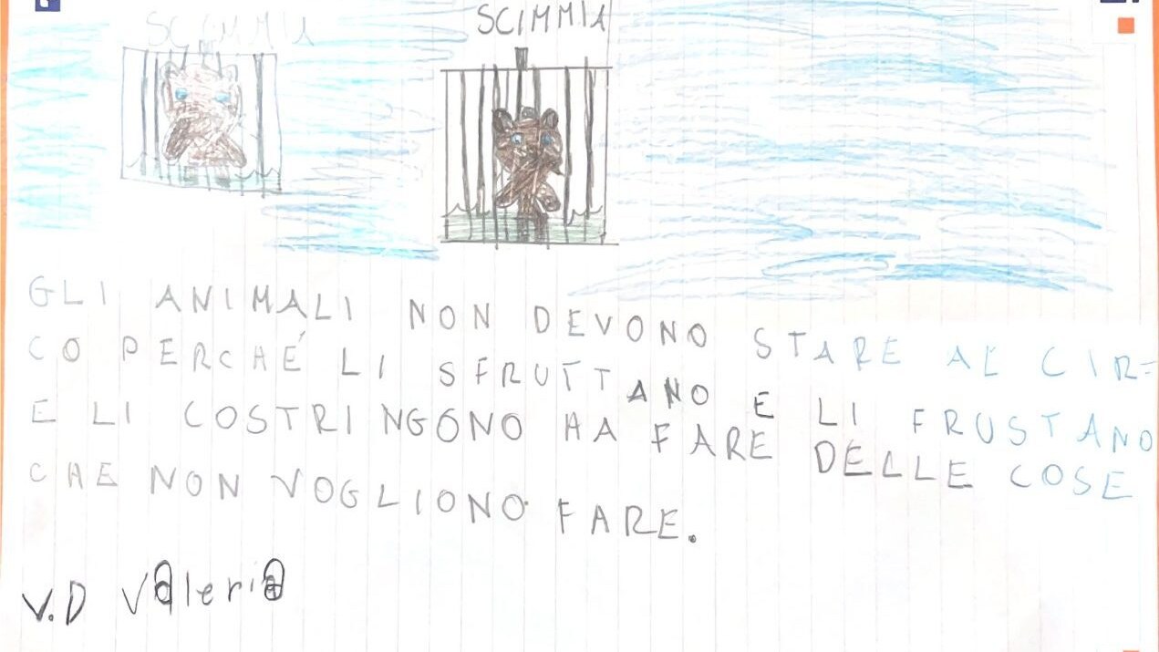 Immagine