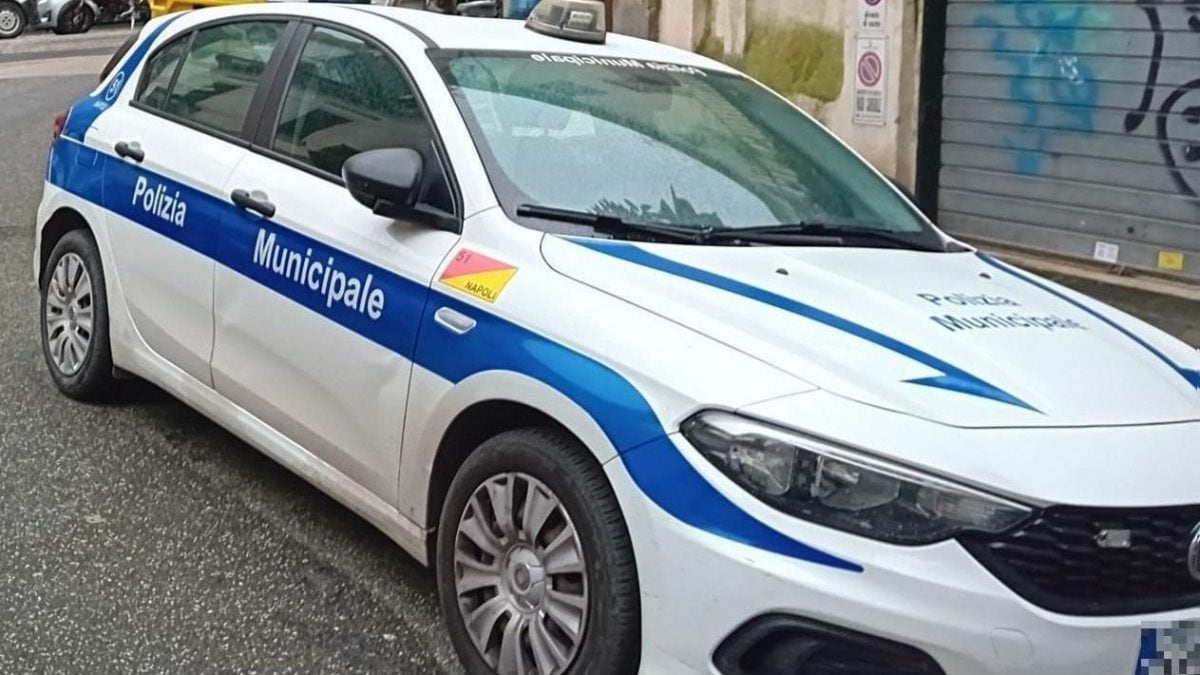 Immagine di repertorio