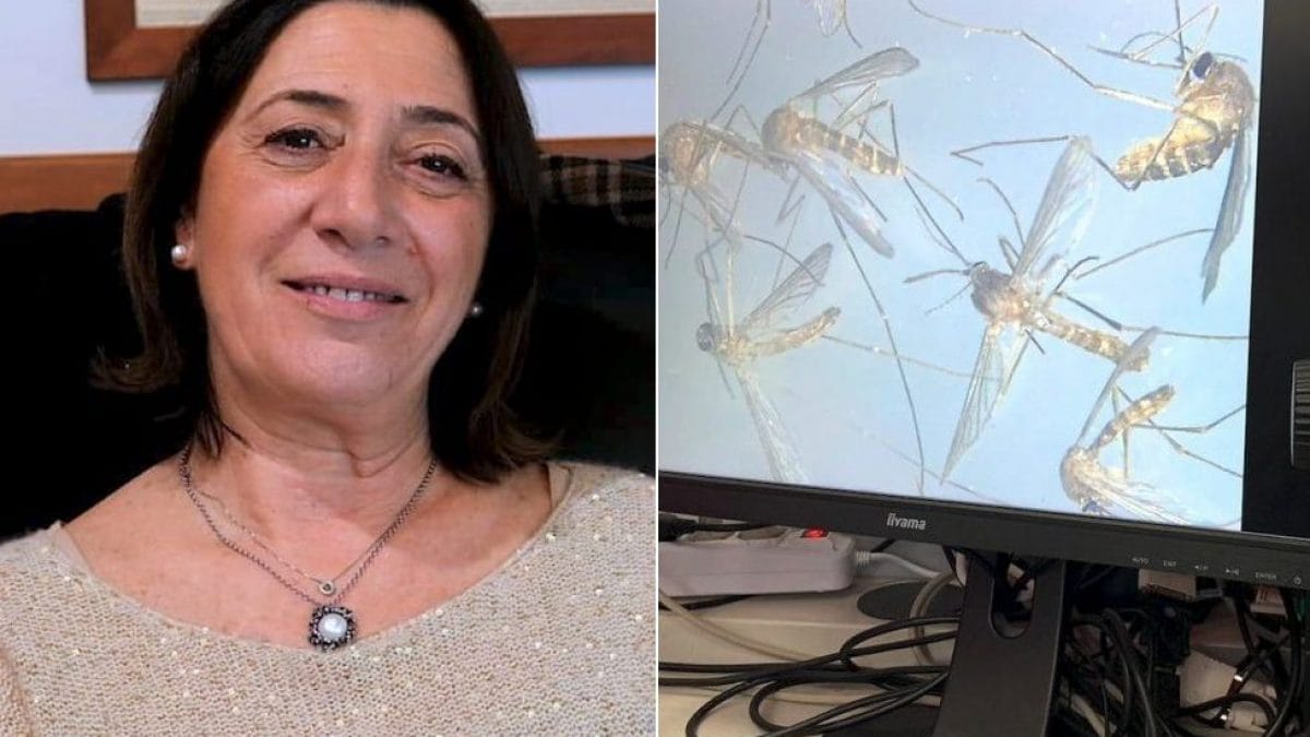 Esterina De Carlo, direttrice sanitaria Izsm