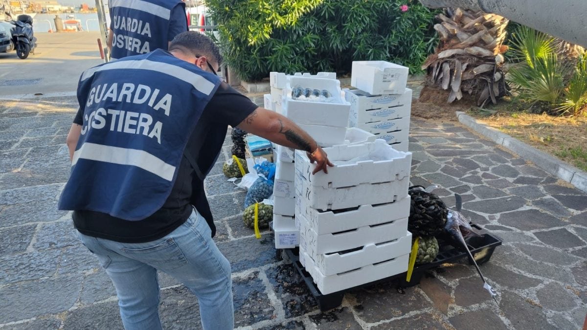 I prodotti ittici sequestrati a Pompei (Napoli)
